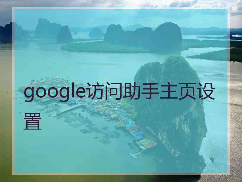 google访问助手主页设置