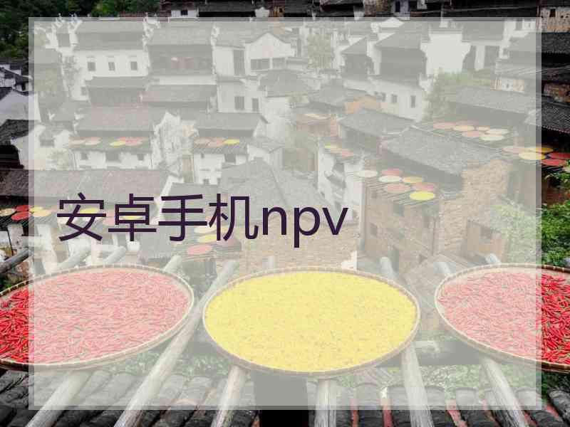 安卓手机npv