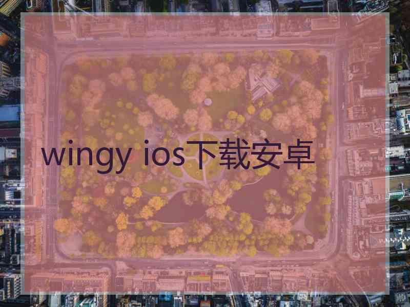 wingy ios下载安卓