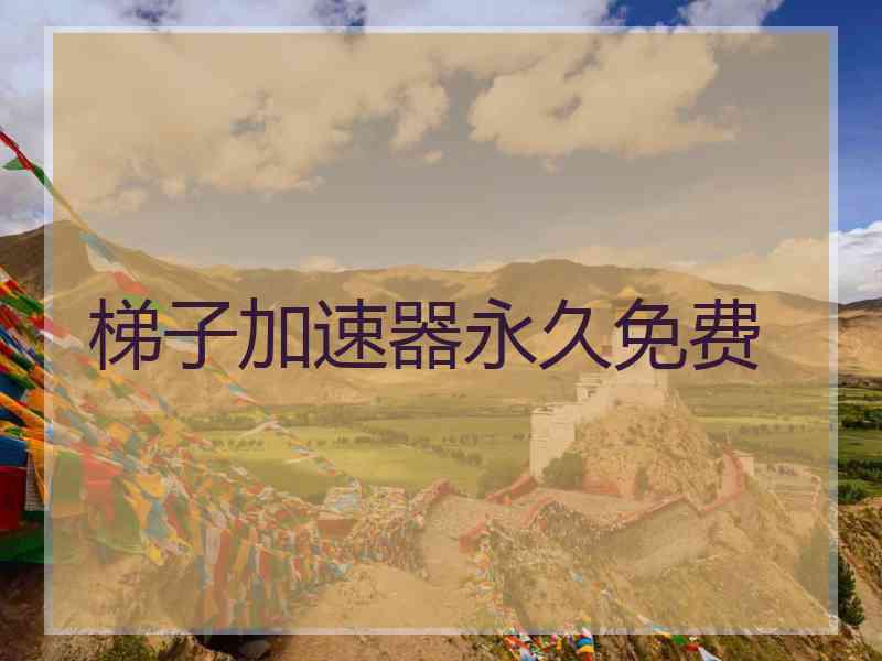 梯子加速器永久免费