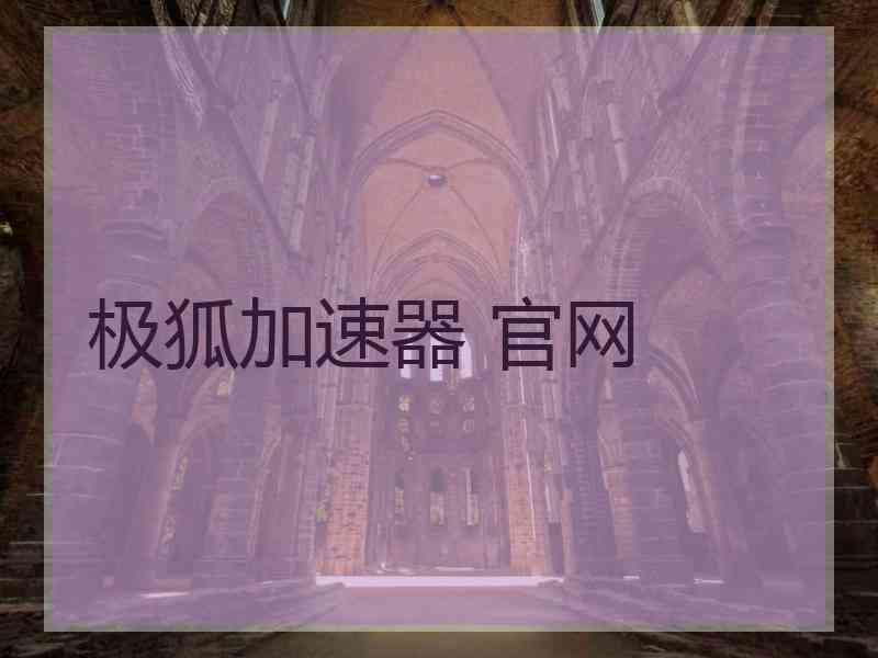 极狐加速器 官网