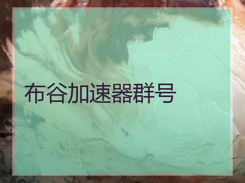 布谷加速器群号