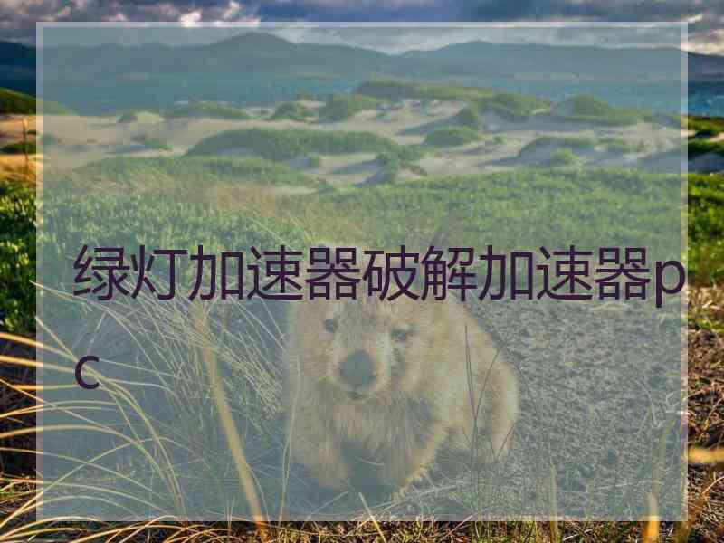 绿灯加速器破解加速器pc