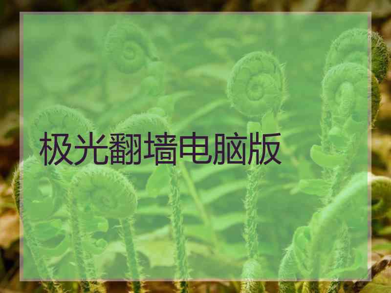极光翻墙电脑版