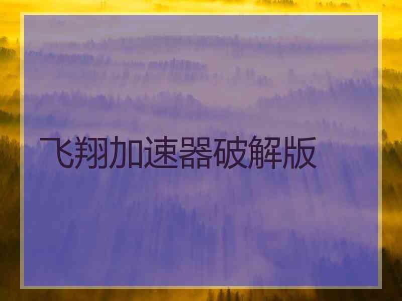 飞翔加速器破解版