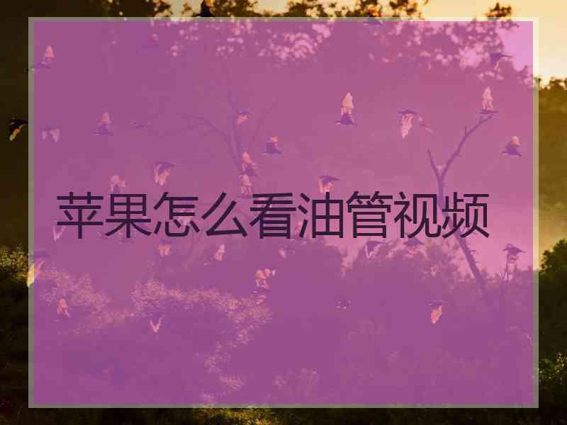 苹果怎么看油管视频