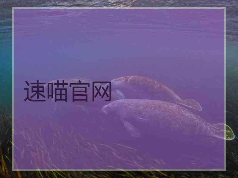 速喵官网