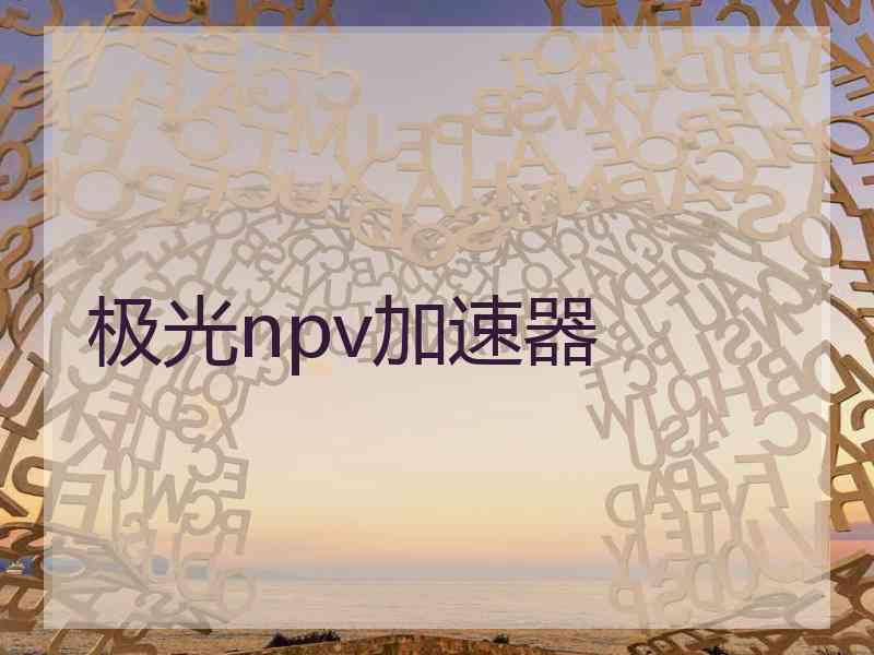 极光npv加速器