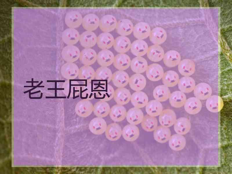 老王屁恩
