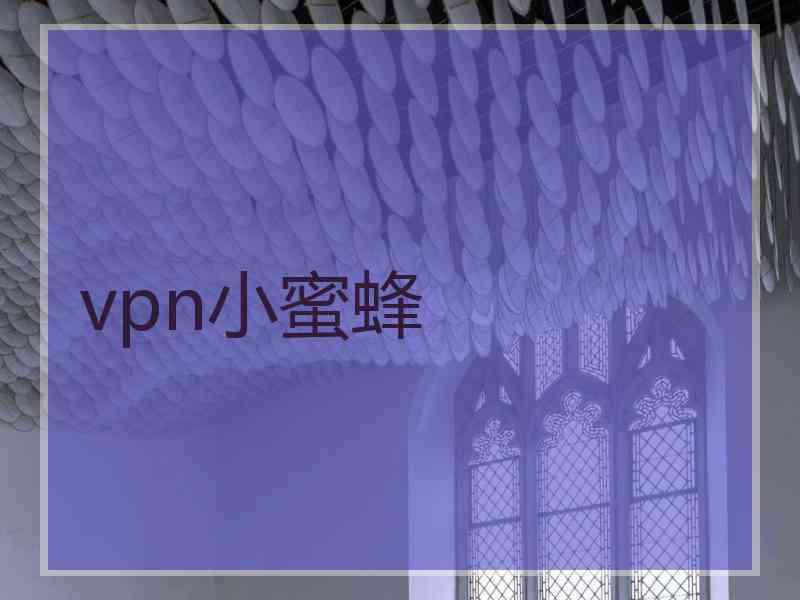 vpn小蜜蜂